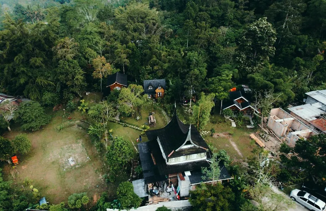 Canyon Jungle Stay-1