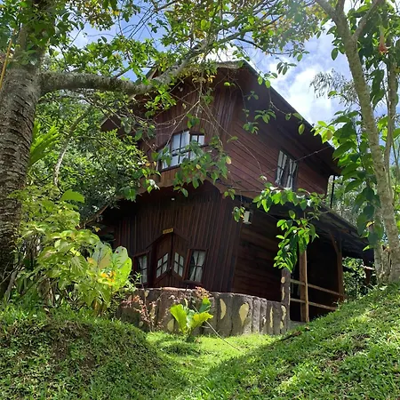 Canyon Jungle Stay-3